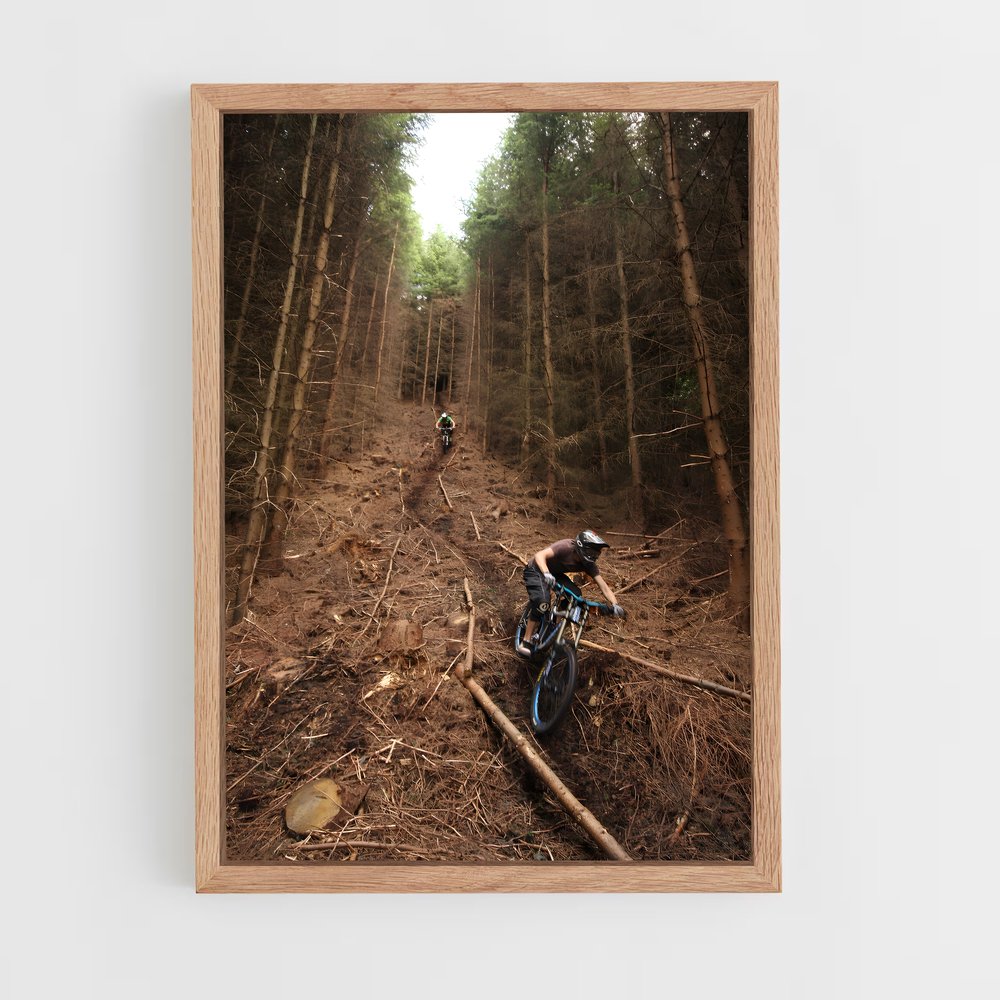 Poster Ride in the Wild – affiche Cyclisme (vue 4)